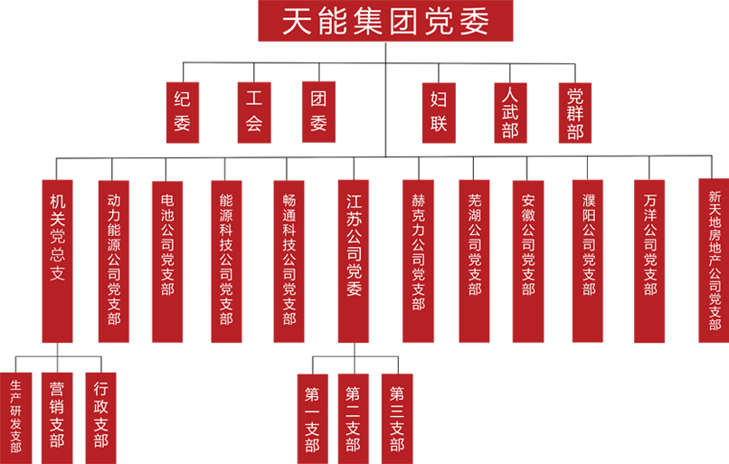 冰球突破豪华版下载app建团党委组织架构